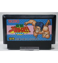 Gekitou Pro Wrestling!! Toukon Densetsu JPN