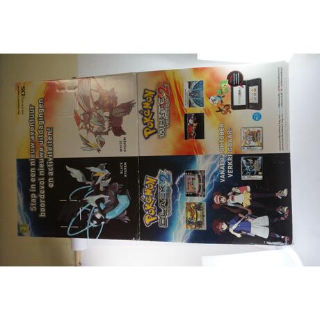 Pokemon Black and White Display