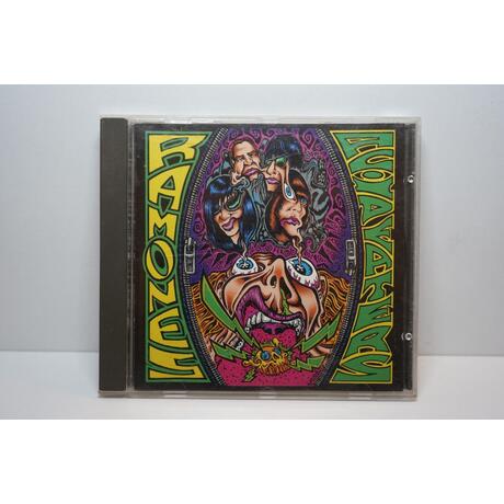 Ramones: Acid Eaters