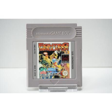 Fighting Simulator: 2-in-1 Flying Warriors FRG