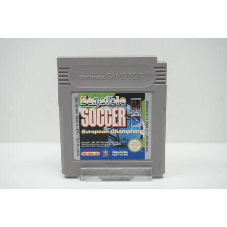 Sensible Soccer: European Champions FAH