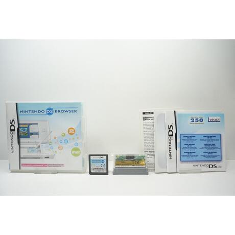 Nintendo DS Lite Browser