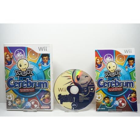 Cerebrum