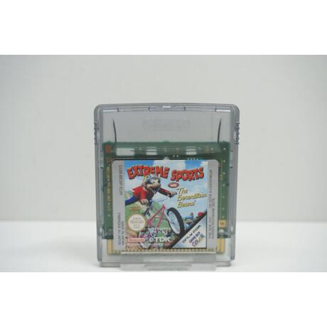 Extreme Sports with the Berenstain Bears